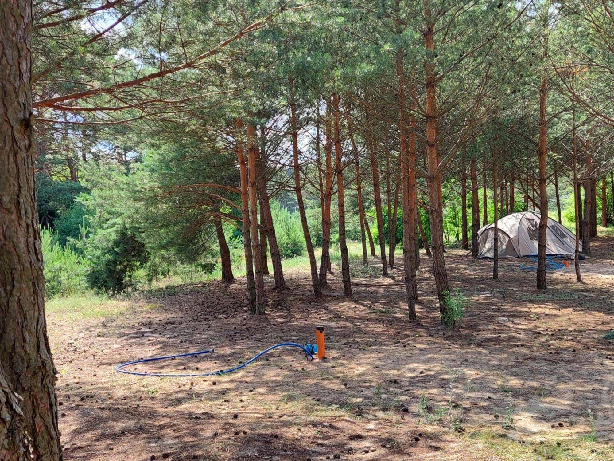 Holenderki Na Zielonych Wzgorzach, Lowyn Exterior foto