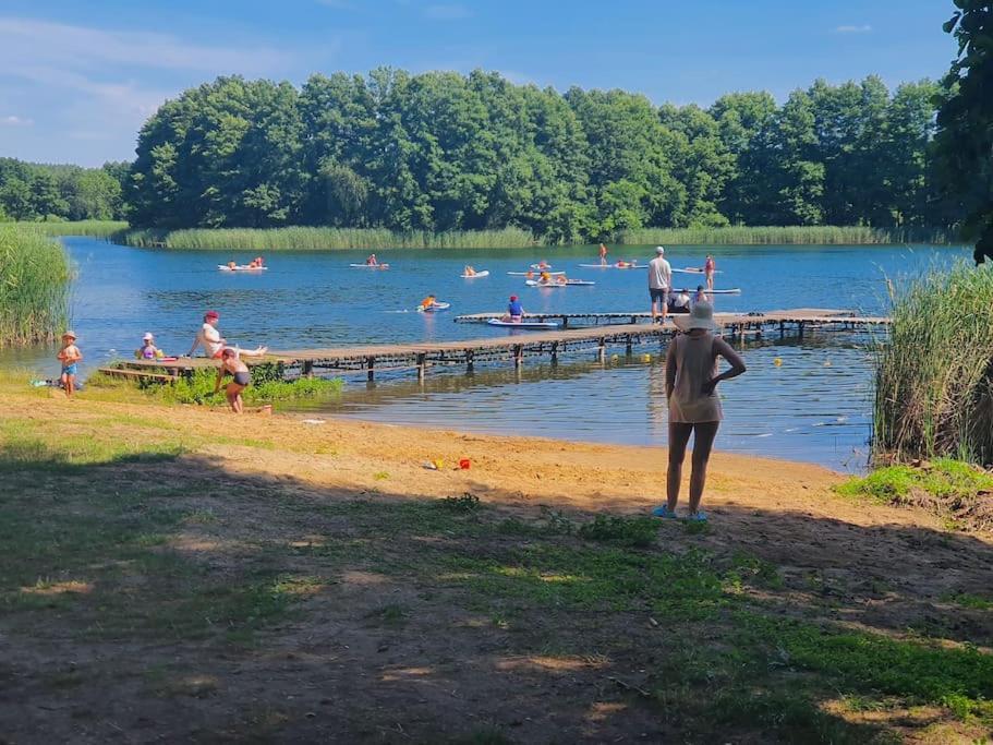 Holenderki Na Zielonych Wzgorzach, Lowyn Exterior foto